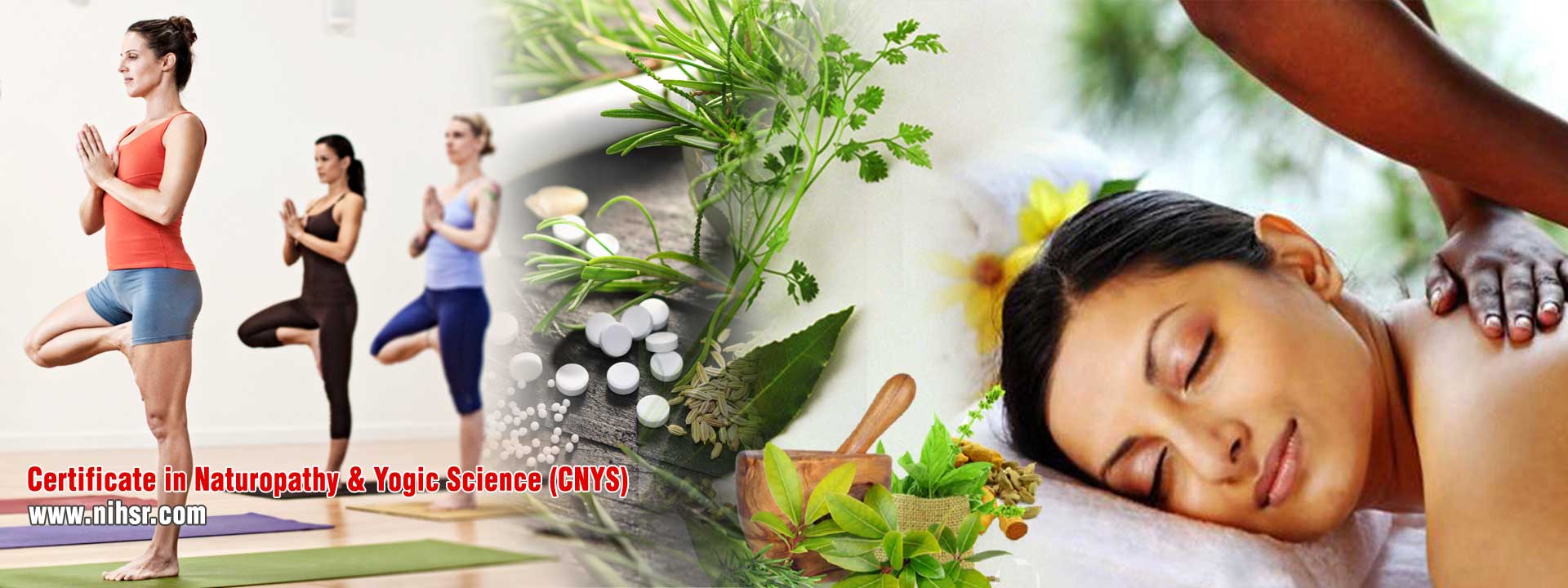 paramedical training courses institute in ludhiana punjab india
